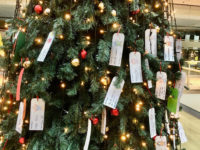 Weihnachtsbaumaktion für bedürftige Kinder
